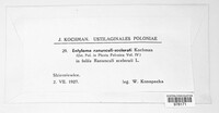 Image Associated With the Occurence